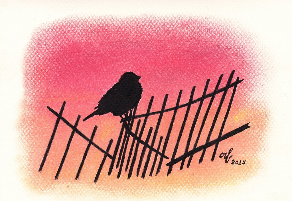 Sparrow-on-the-fence.jpg